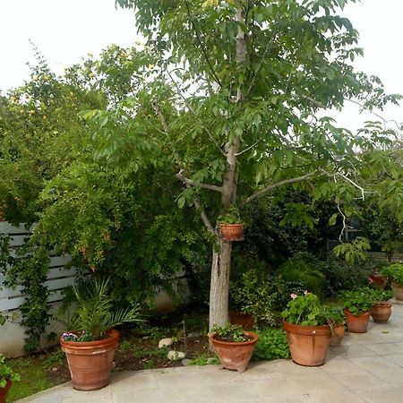 Sunny Garden Studio Ξενοδοχείο Λευκωσία Εξωτερικό φωτογραφία