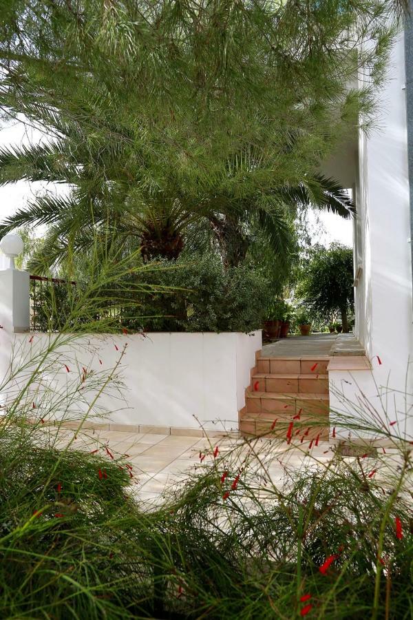 Sunny Garden Studio Ξενοδοχείο Λευκωσία Εξωτερικό φωτογραφία