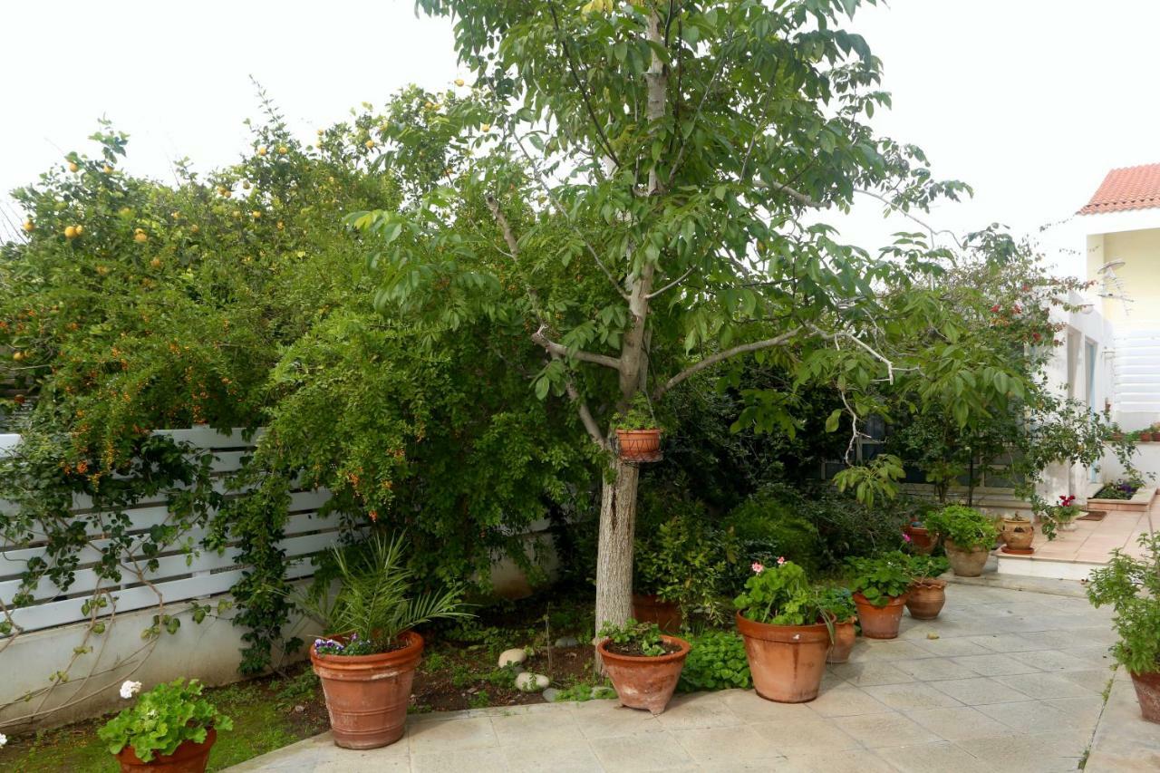 Sunny Garden Studio Ξενοδοχείο Λευκωσία Εξωτερικό φωτογραφία