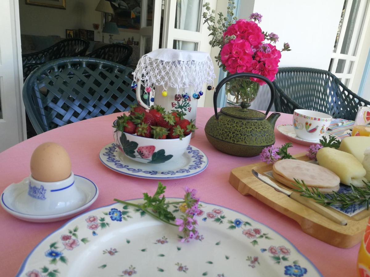 Sunny Garden Studio Ξενοδοχείο Λευκωσία Εξωτερικό φωτογραφία